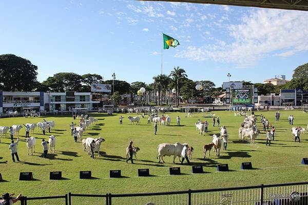 Área de julgamento do gado no Parque Fernando Costa - Foto Flickr @Carlos Ed. Lopes